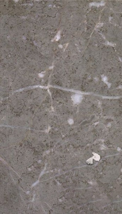 Italia Grey